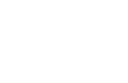 logo light